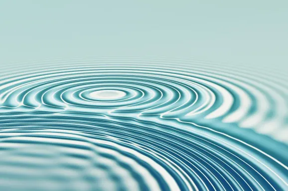 Casino PNX Bet Stuðningur